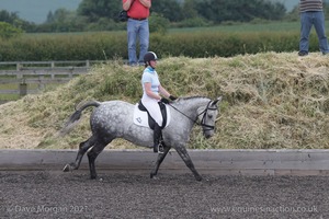 ISIS Dressage Challenge 2008